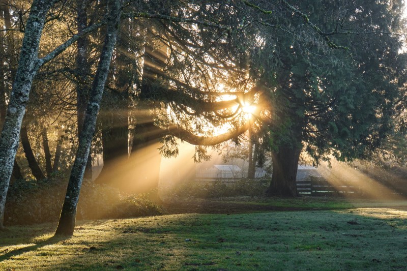 bleknad streckkod orsakad av Sunlight.jpg