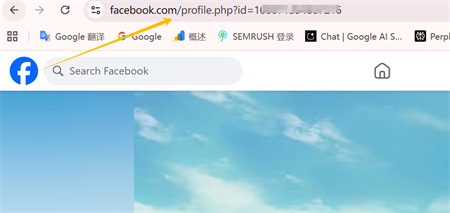 Facebook-profill&auml;nk